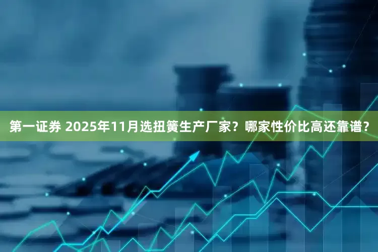 第一证券 2025年11月选扭簧生产厂家?哪家性价比高还靠谱?